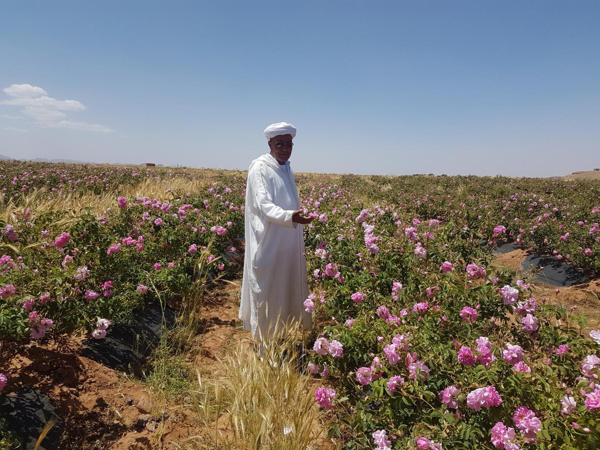 ホテル Kasbah Ait Kassi Boumalne エクステリア 写真